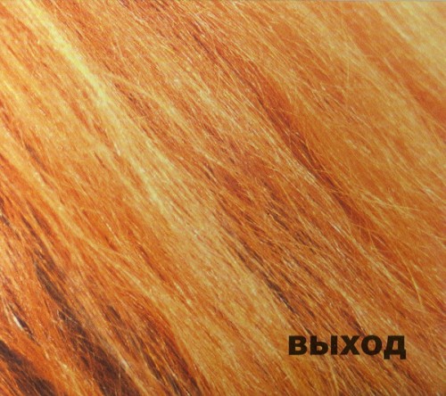 альбом Выход - Рыжый альбом в формате FLAC скачать торрент