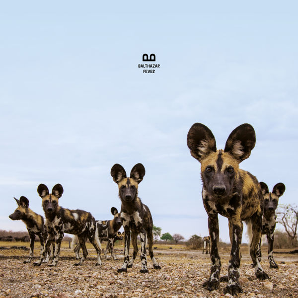 альбом Balthazar - Fever в формате FLAC скачать торрент