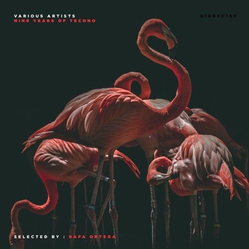сборник Nine Years Of Techno: Selected by Rafa Ortega в формате FLAC скачать торрент