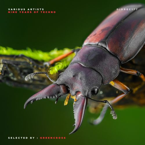 альбом VA-Nine Years Of Techno [Selected by Greencross] в формате FLAC скачать торрент